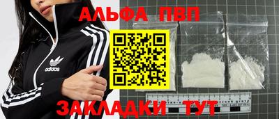 амф Кингисепп