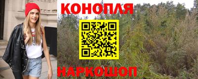 амф Кингисепп
