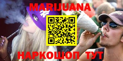амф Кингисепп