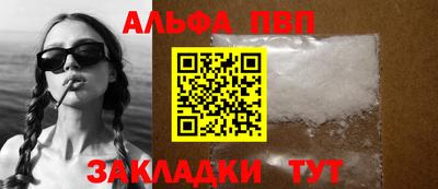 амф Кингисепп